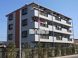 ハイネスマツウラ