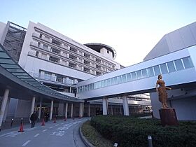 ノーブル庄内通  ｜ 愛知県名古屋市西区稲生町４丁目（賃貸マンション1LDK・1階・43.20㎡） その29