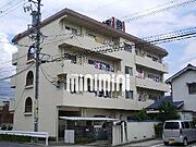 ハイツ・ニューキャッスル 4階 築47年8ヶ月の賃貸物件