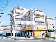 JMヒラ 4階 築34年11ヶ月の賃貸物件