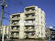 ハイマァト 5階 築33年8ヶ月の賃貸物件