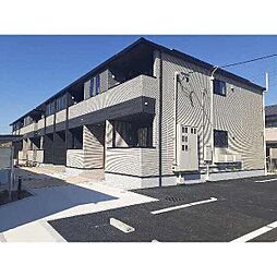 チェレステ白髭A