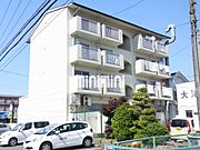  4階 築42年10ヶ月の賃貸物件