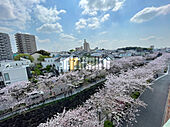 エミネンス石川橋のイメージ