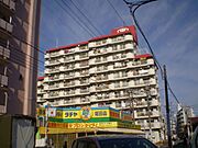 堀田駅より徒歩12分 11階 築47年の賃貸物件