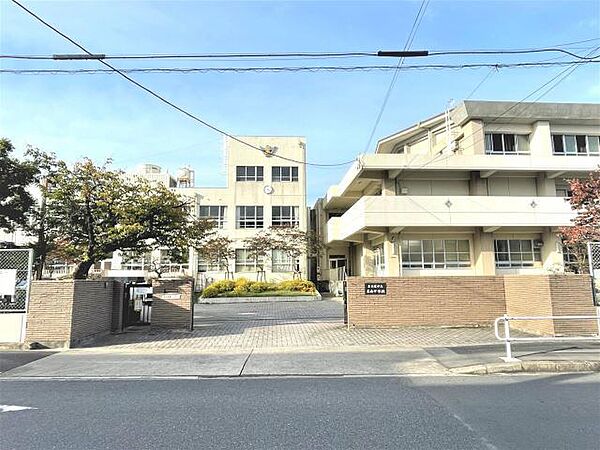 画像21:中学校「名古屋市立名南中学校まで259m」