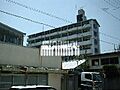 ドール堀田III