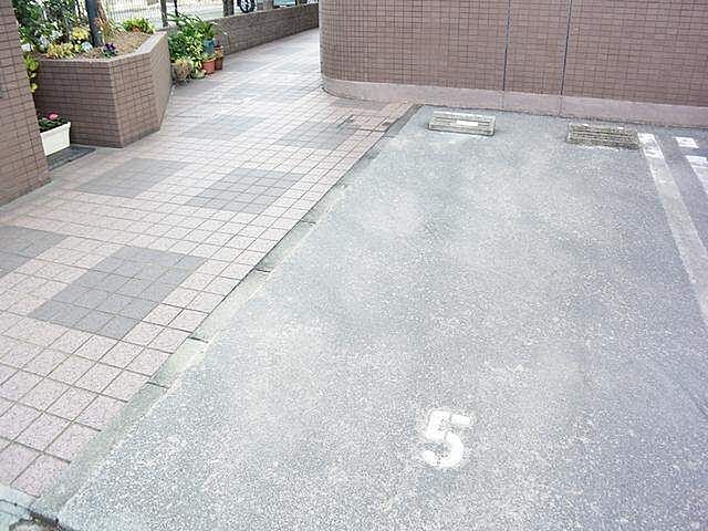 5 / 6
