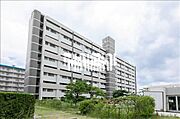 植田駅より徒歩11分 5階 築54年9ヶ月の賃貸物件
