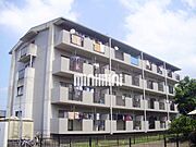  築32年11ヶ月 4階建の賃貸物件