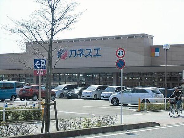 画像23:ショッピング施設「カネスエまで620m」