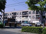 ハイコーポ谷野 1階 築43年8ヶ月の賃貸物件