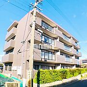 辻ハイム 2階 築34年9ヶ月の賃貸物件