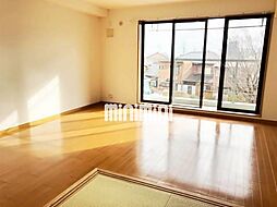 ライトクロト半田