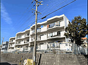 グレース磯村 1階 築41年3ヶ月の賃貸物件