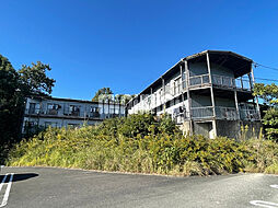 ウッディハウス