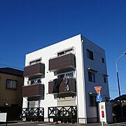 Maisonマリーノの賃貸物件