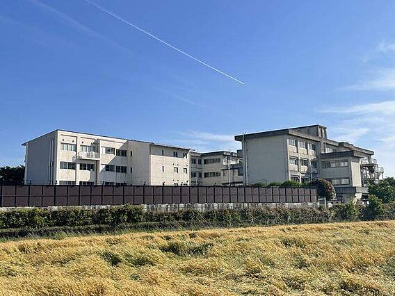 レジデンス瓦_周辺_1