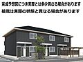 ルナメゾン