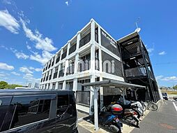 ｍｔ．ｃｅｄａｒ　ｒｏｏｍ