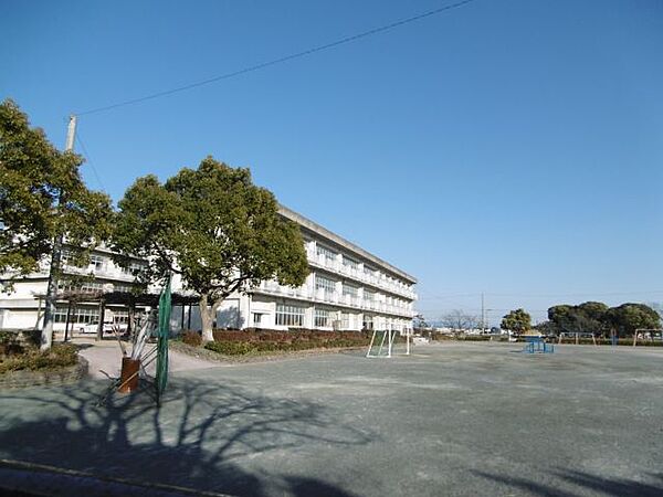 画像28:小学校「市立新田小学校まで560m」