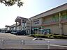 周辺：ショッピング施設「アンディまで480m」