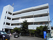 桜井駅より徒歩30分 築38年2ヶ月 4階建の賃貸物件