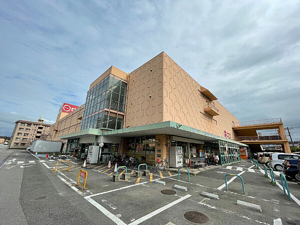 画像18:スーパー「ピアゴ知立店まで704m」