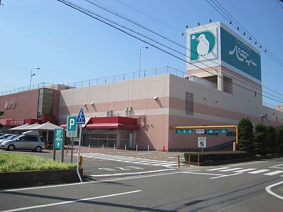 シティハイムグリンデルワルト_周辺_2