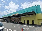 ドラッグストア 「杏林堂まで550m」