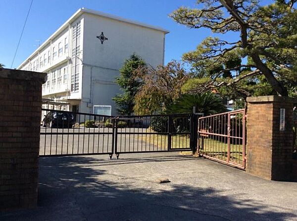 画像26:小学校「静岡市立清水岡小学校まで570m」