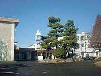 画像23:中学校「静岡市立清水第八中学校まで162m」