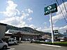 周辺：スーパー「しずてつストア興津店まで828m」