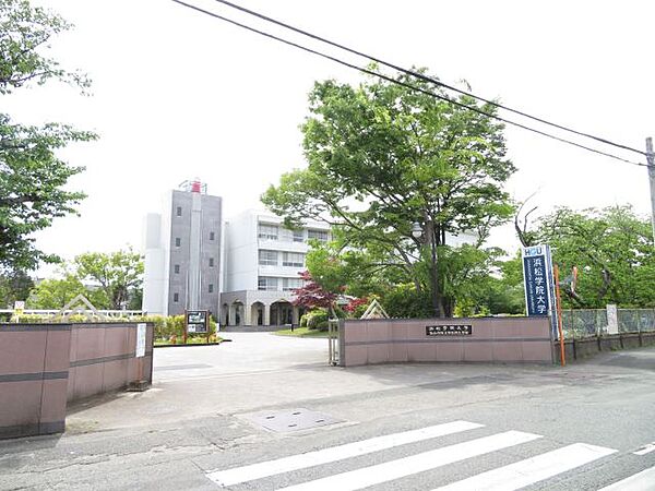 画像9:大学「浜松学院大学まで310m」