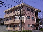  1階 築37年8ヶ月の賃貸物件