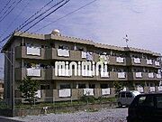 1階 築42年7ヶ月の賃貸物件