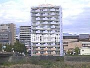 沼津駅より徒歩8分 9階 築22年の賃貸物件