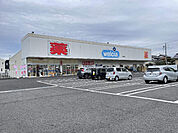 ドラッグストア 「ウエルシア焼津塩津店まで359m」