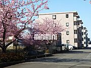 サンフォレストA 3階 築26年1ヶ月の賃貸物件