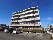 MSコーポ 2階 築31年5ヶ月の賃貸物件