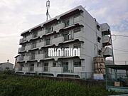  4階 築42年8ヶ月の賃貸物件