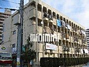 グリーンハイツ大竹 1階 築49年の賃貸物件