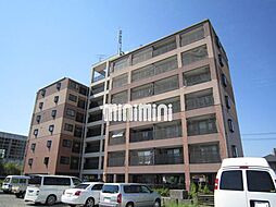 マウンティン藤