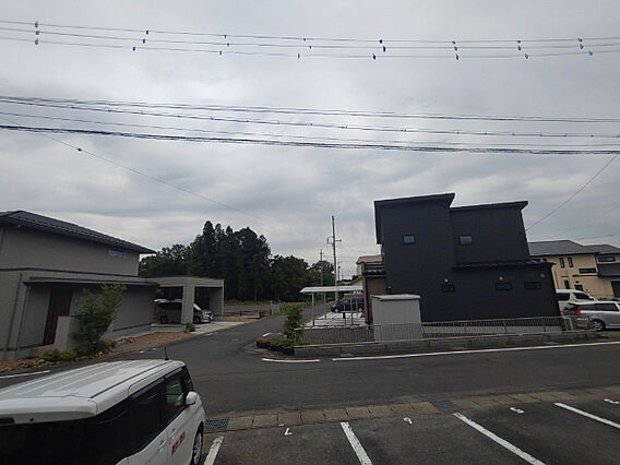 プチローズ_その他_4