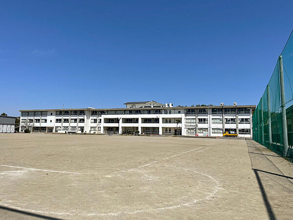画像21:小学校「関市立富岡小学校まで785m」