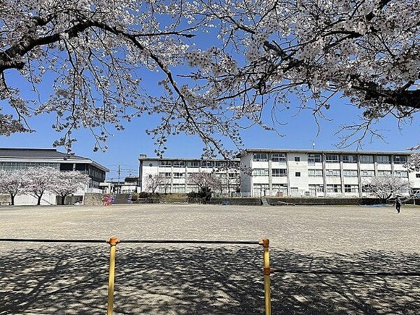 画像17:小学校「関市立倉知小学校まで1170m」