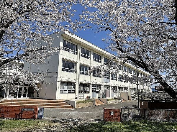 画像17:小学校「関市立桜ケ丘小学校まで860m」