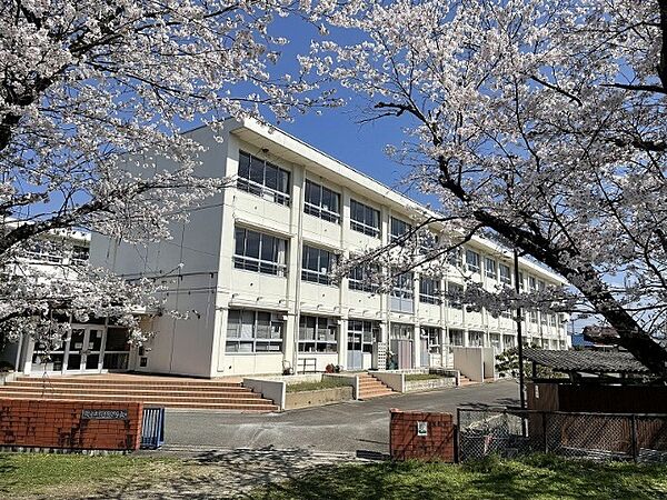 画像17:小学校「関市立桜ケ丘小学校まで601m」
