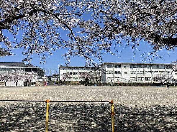 画像21:小学校「関市立倉知小学校まで1015m」