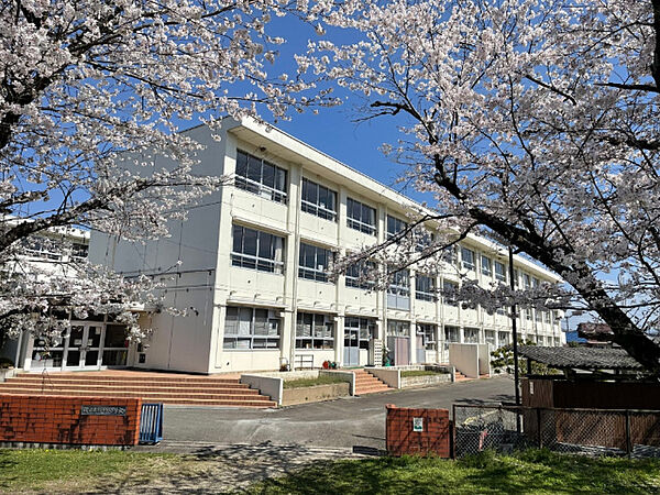 画像18:小学校「関市立桜ケ丘小学校まで190m」